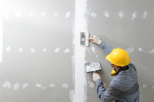 Mold Odor Removal Services in Lyles, TN