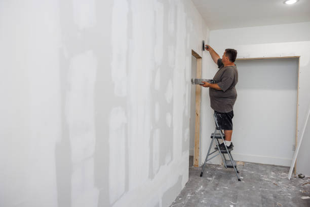 Best Mold Odor Removal Services  in Lyles, TN