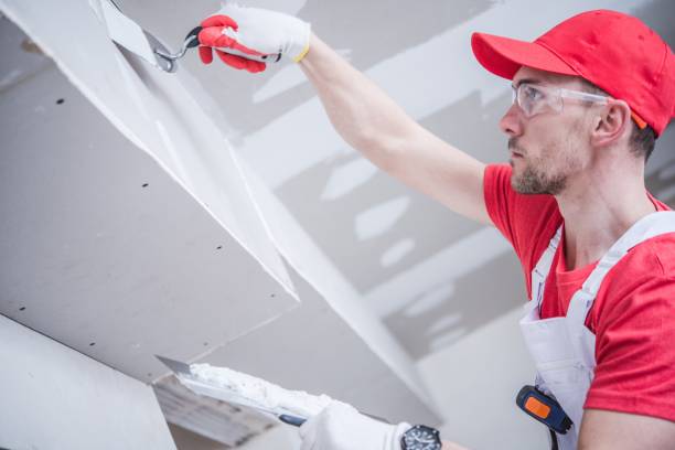 Best Residential Mold Inspection & Testing  in Lyles, TN